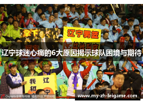 辽宁球迷心痛的6大原因揭示球队困境与期待 辽宁球迷心痛的6大原因揭示球队困境与期待