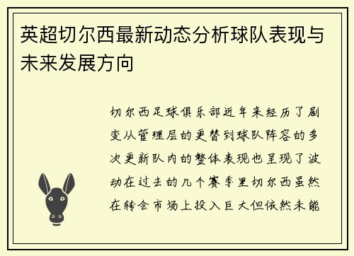 英超切尔西最新动态分析球队表现与未来发展方向 英超切尔西最新动态分析球队表现与未来发展方向