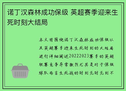 诺丁汉森林成功保级 英超赛季迎来生死时刻大结局 诺丁汉森林成功保级 英超赛季迎来生死时刻大结局